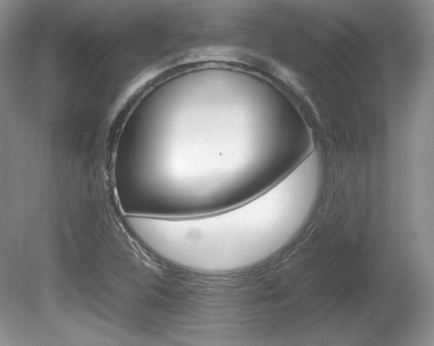 X0000080141312200612081016