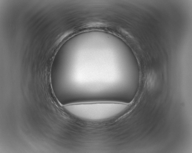 X0000080141313200612081016