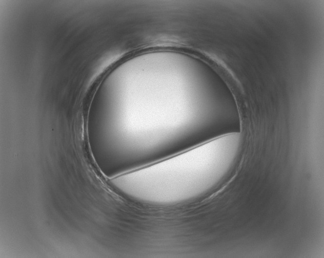 X0000080141317200612081016