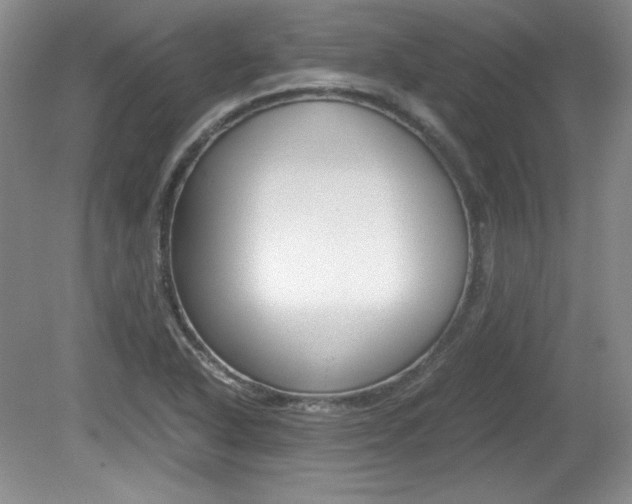 X0000080141318200612081016