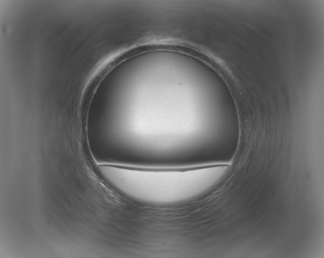 X0000080141319200612081016