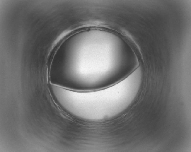 X0000080141320200612081016