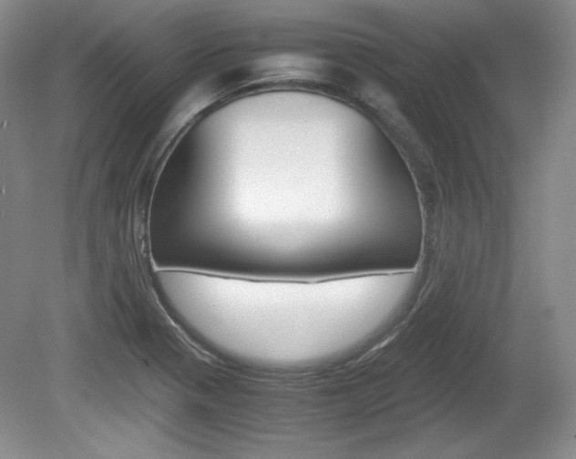 X0000080141321200612081016