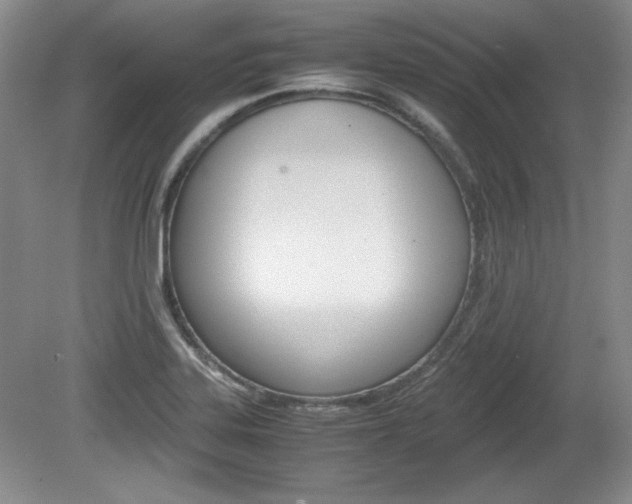 X0000080141323200612081016