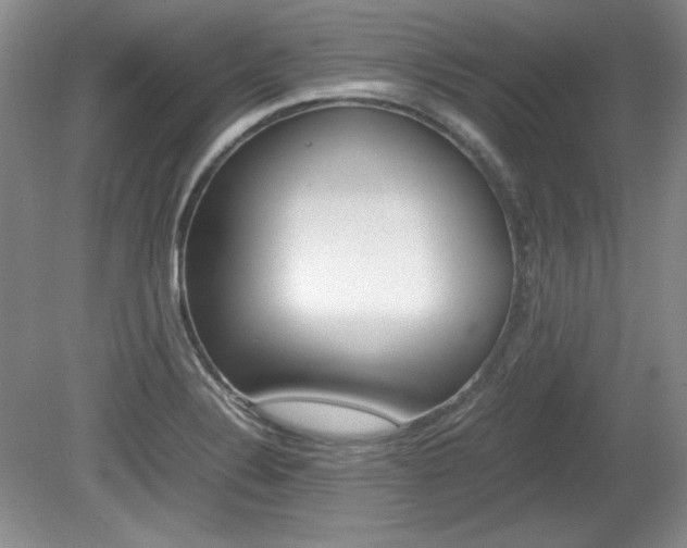 X0000080141324200612081016