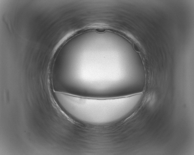X0000080141325200612081016