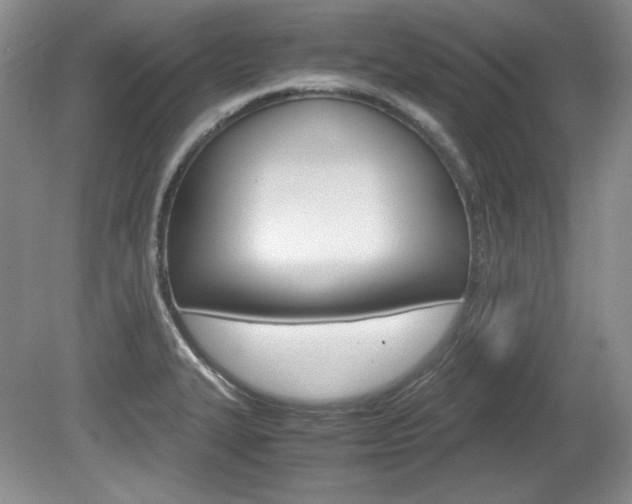 X0000080141327200612081016