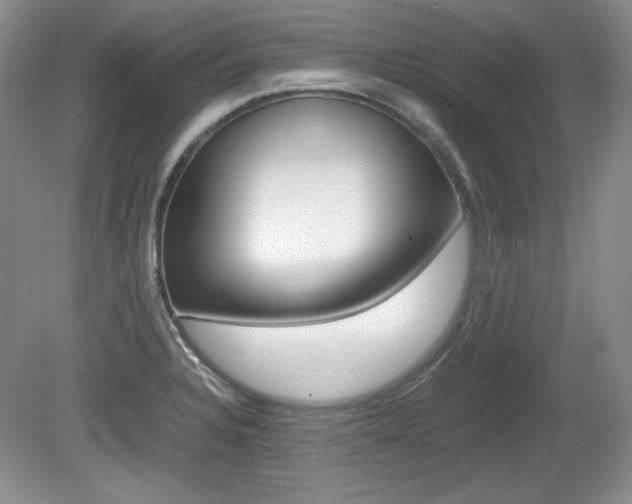 X0000080141328200612081016