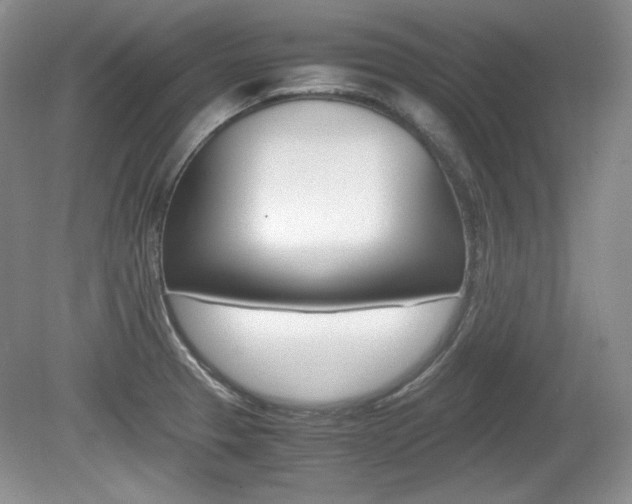X0000080141329200612081016
