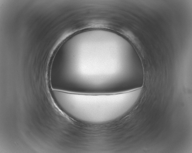 X0000080141331200612081016