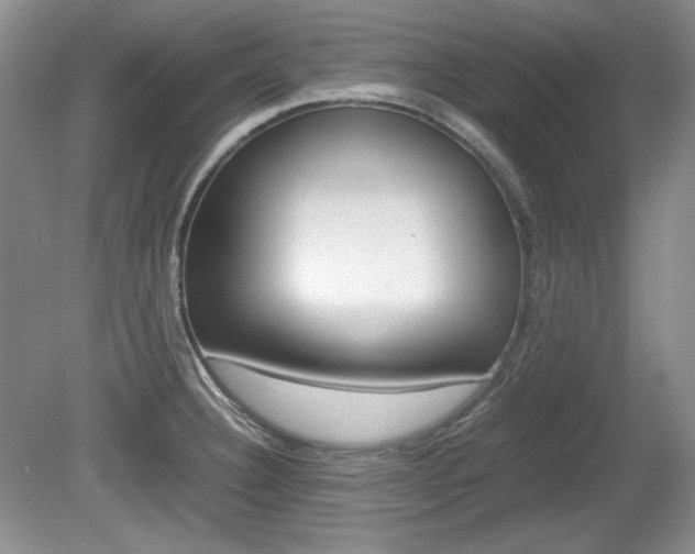 X0000080141332200612081016