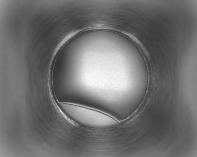 X0000080141333200612081016