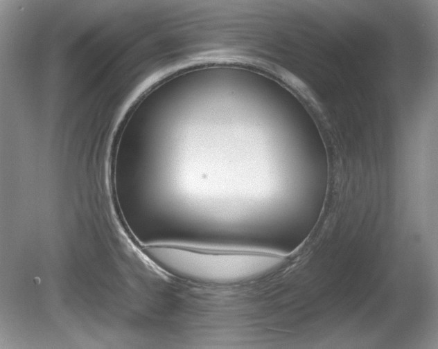 X0000080141334200612081016
