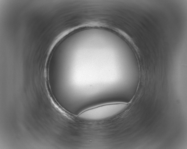 X0000080141335200612081016