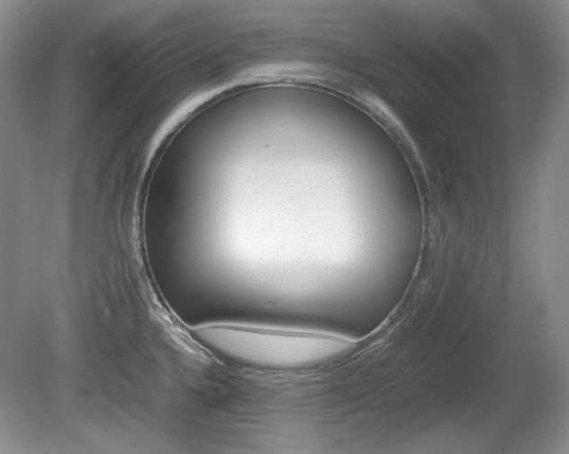 X0000080141336200612081016