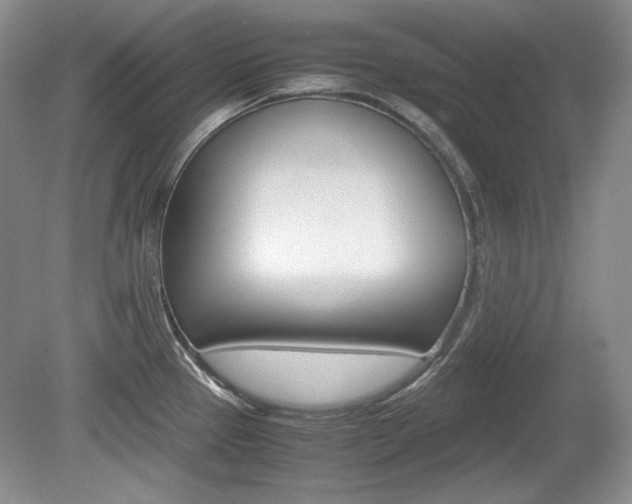 X0000080141337200612081016