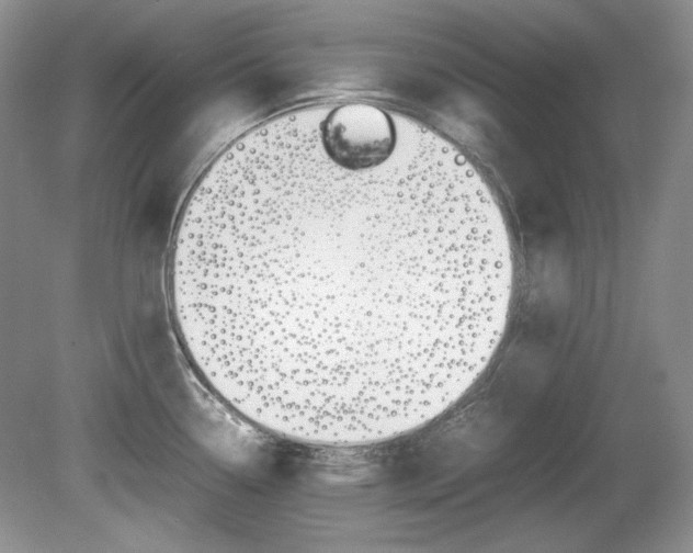 X0000080141338200612081016