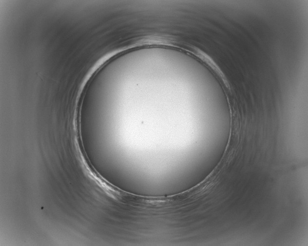 X0000080141339200612081016