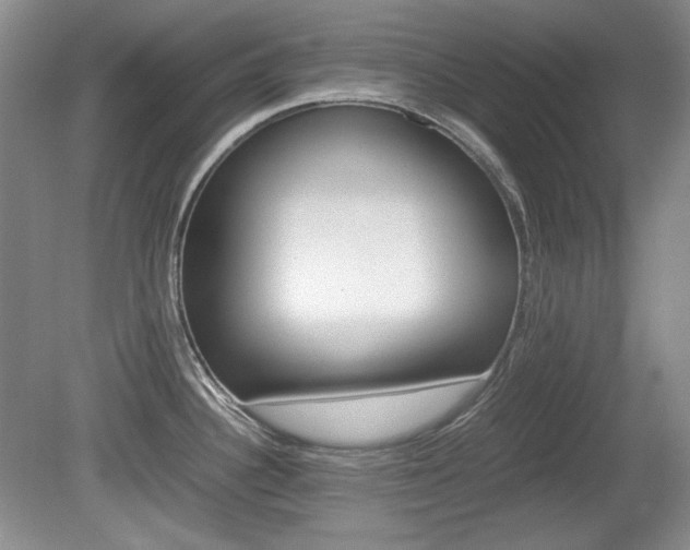 X0000080141340200612081016