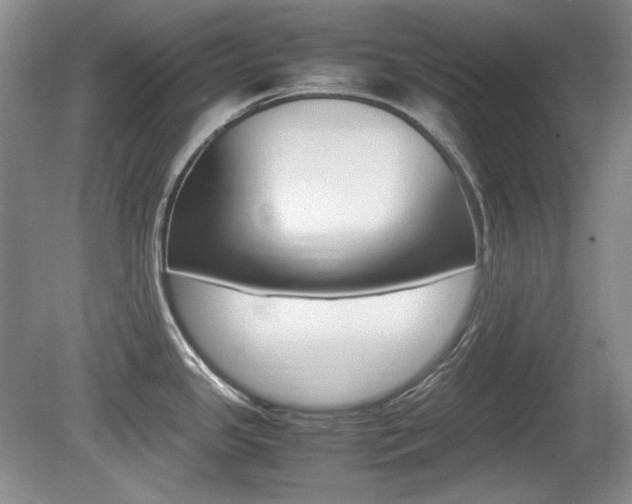 X0000080141341200612081016
