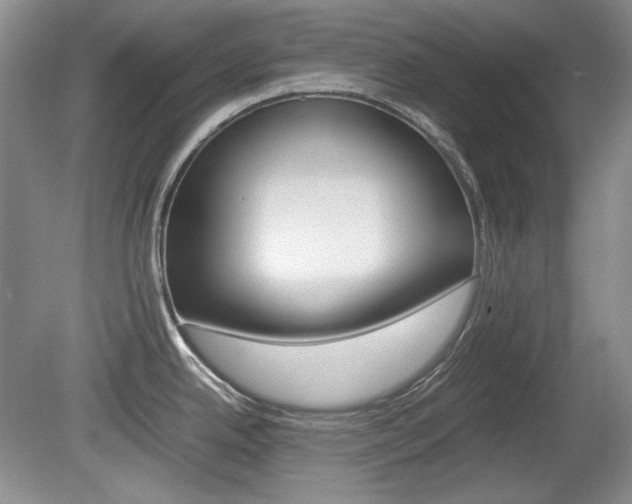 X0000080141342200612081016