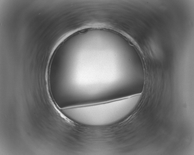 X0000080141343200612081016