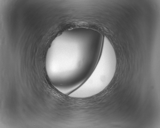 X0000080141345200612081016