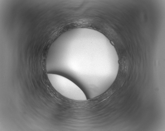 X0000080141346200612081016