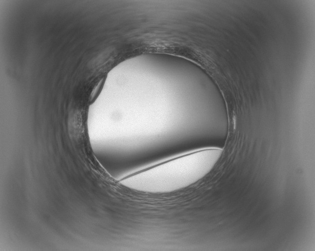 X0000080141347200612081016