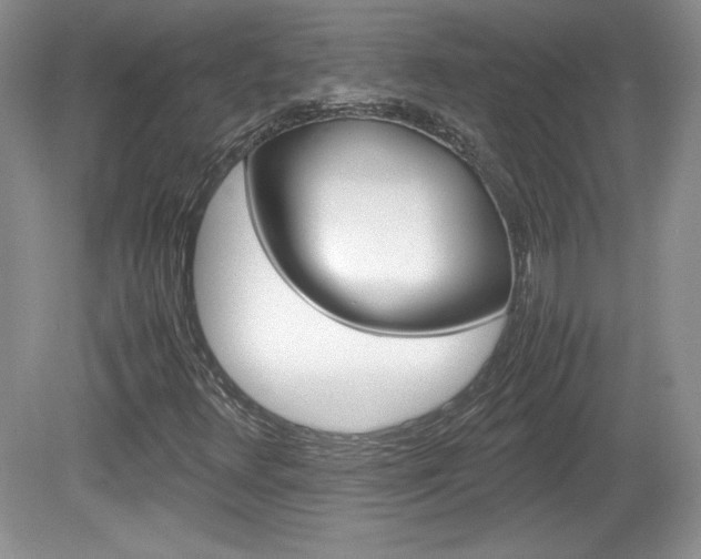 X0000080141348200612081016