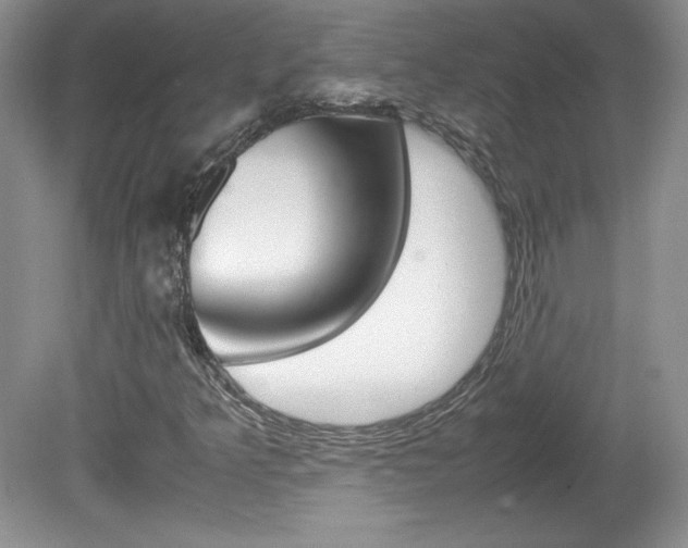 X0000080141349200612081016