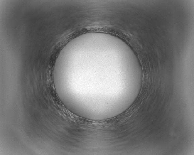 X0000080141350200612081016