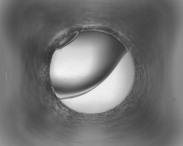 X0000080141351200612081016
