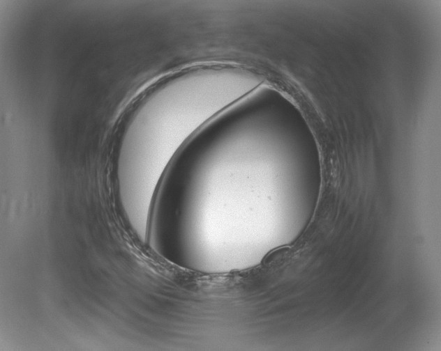 X0000080141352200612081016