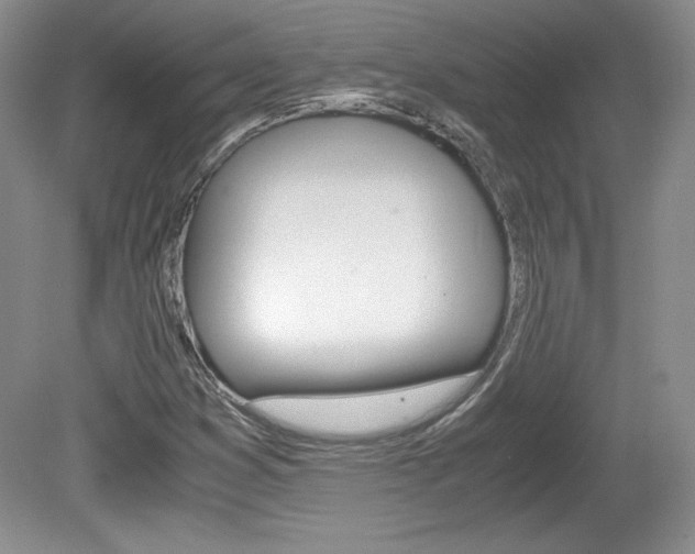 X0000080141353200612081015
