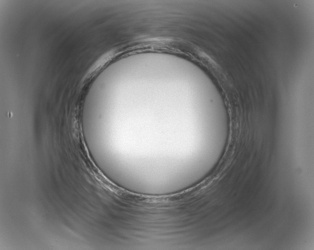 X0000080141354200612081015
