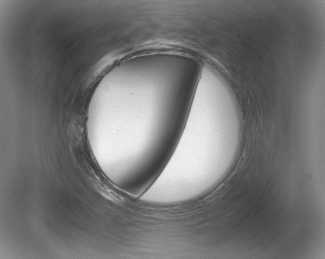 X0000080141355200612081015