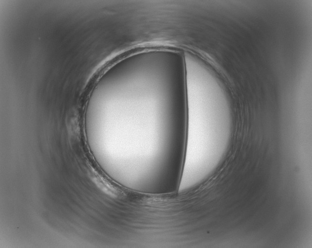 X0000080141356200612081015