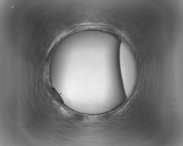 X0000080141357200612081015