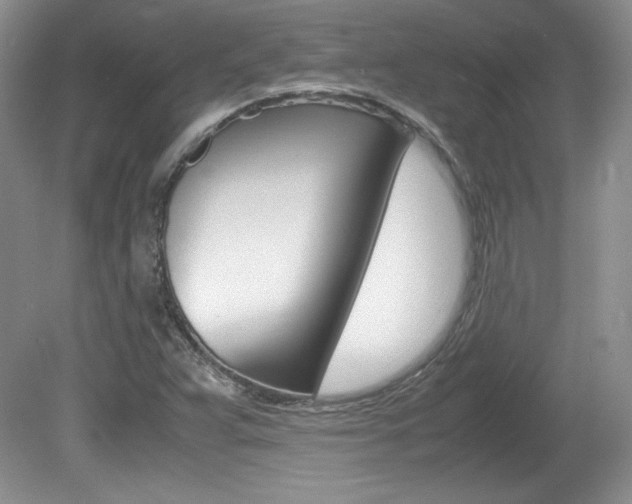 X0000080141359200612081015