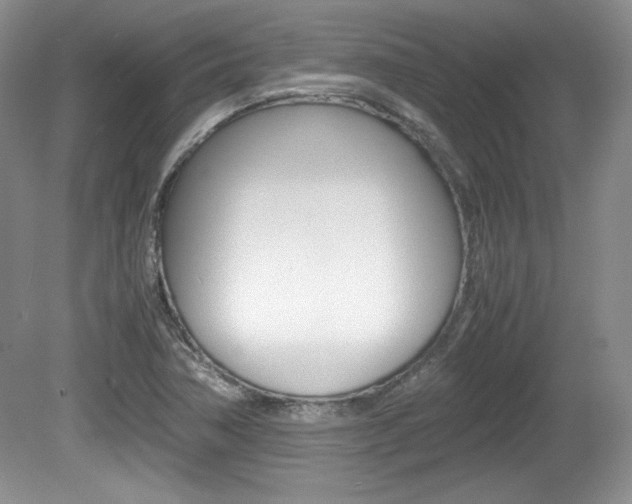 X0000080141362200612081015