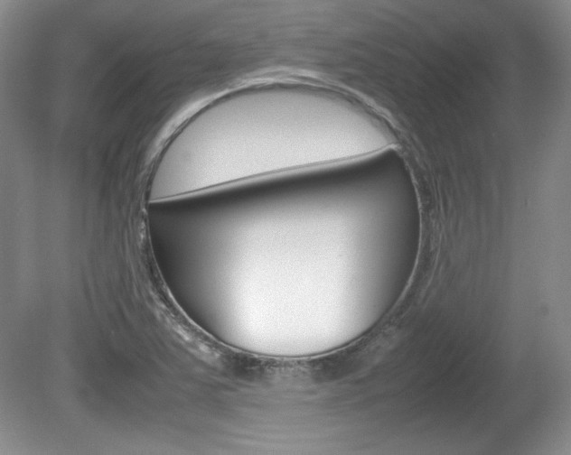 X0000080141363200612081015