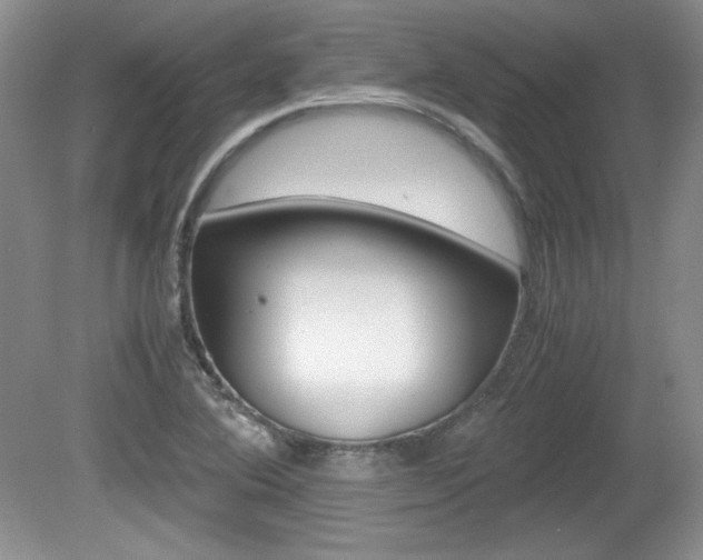 X0000080141364200612081015