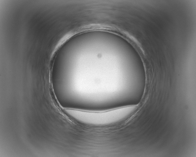 X0000080141365200612081015