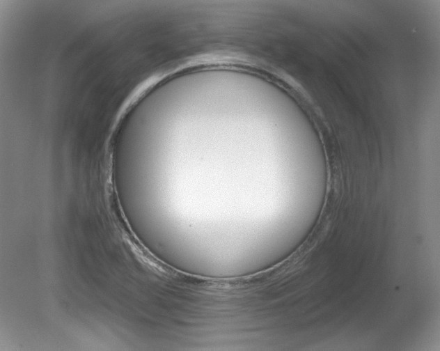 X0000080141366200612081015