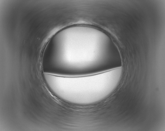 X0000080141367200612081015