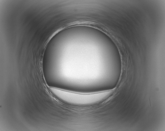 X0000080141369200612081015
