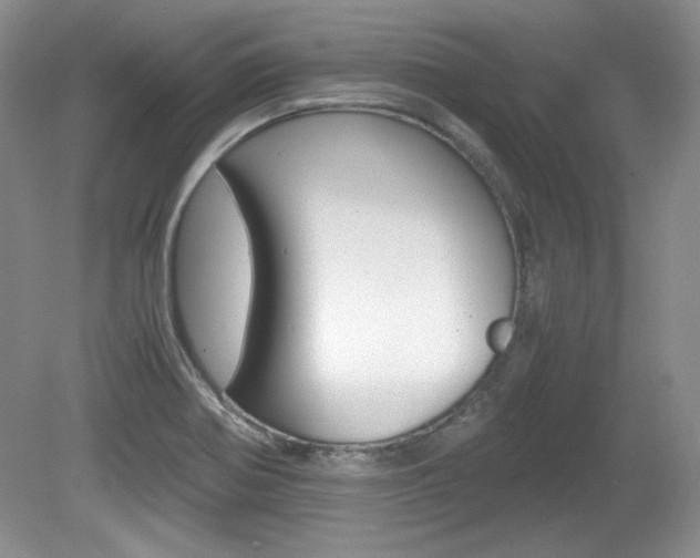 X0000080141370200612081015