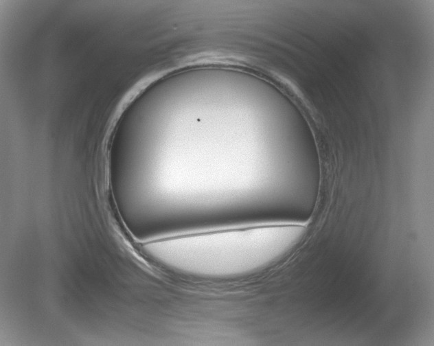 X0000080141371200612081015