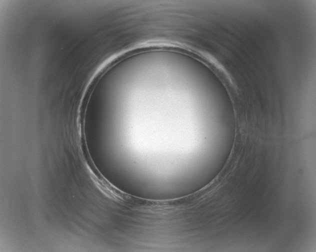 X0000080141372200612081015
